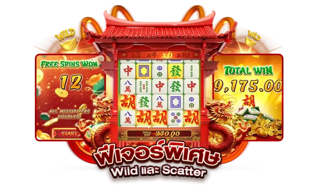 ฟีเจอร์พิเศษ Wild และ Scatter